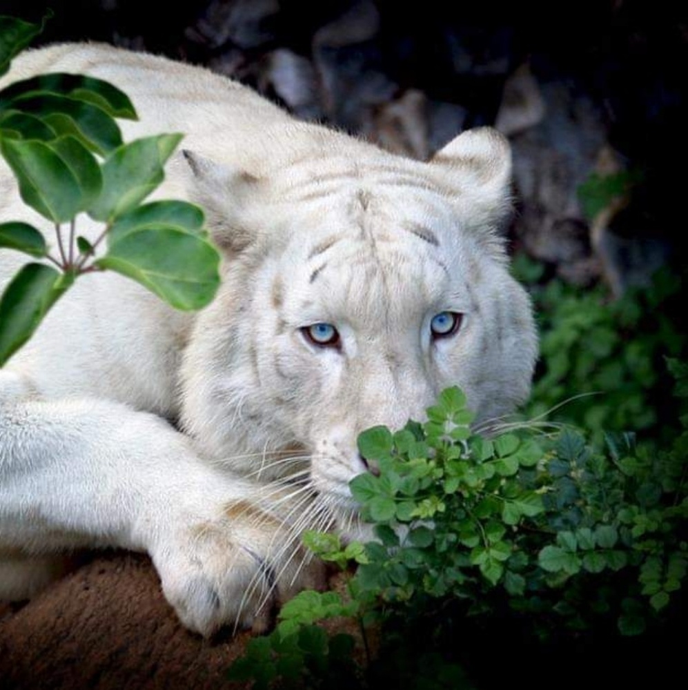 Meet your Posher, Cathy